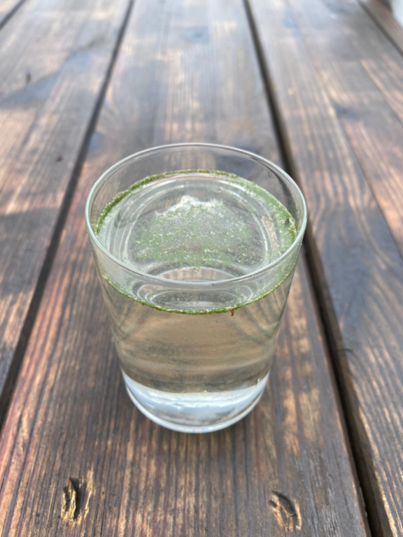 Ruotsalainen (14.141.1.001)-Hietaranta1-ObsIMG-202106251136-60d596d130e9b.png