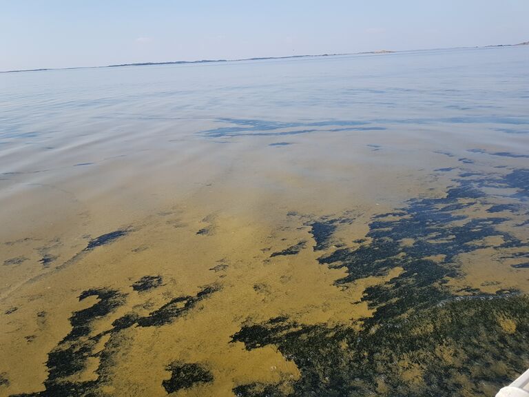 Örön ja Jurmon välinen ulkosaaristoalue-Yxskär (Yxskären)-ObsIMG-201907272000-34.jpg