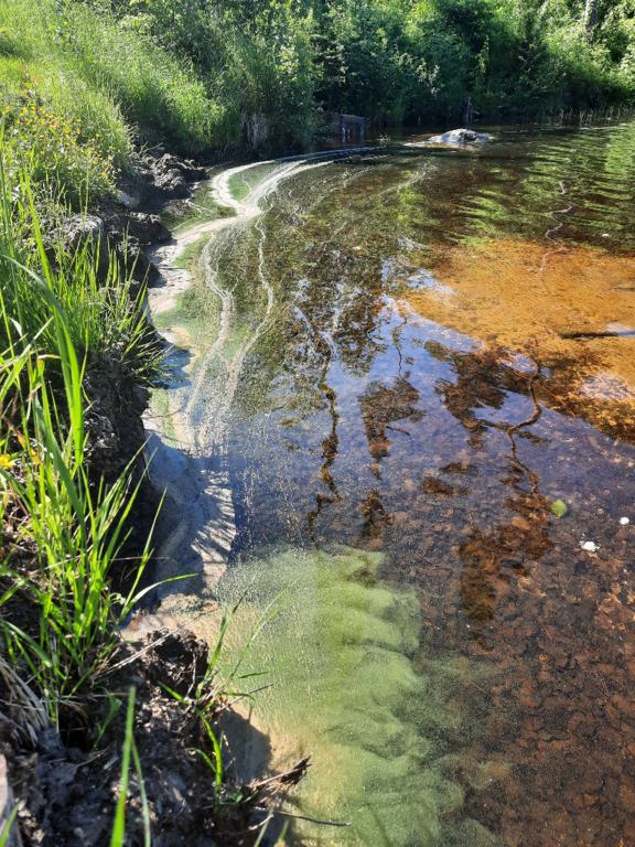 Ala-Kintaus (14.552.1.001)-Alkula-ObsIMG-202206251033-62b6bb909281c.png