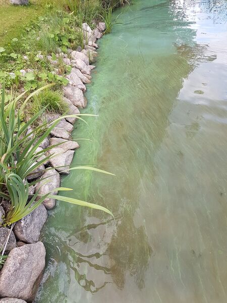 Tiedosto:Arrajärvi (14.122.1.005)-Arrajärvi-ObsIMG-201809021608-4.jpg