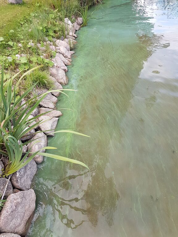 Arrajärvi (14.122.1.005)-Arrajärvi-ObsIMG-201809021608-4.jpg