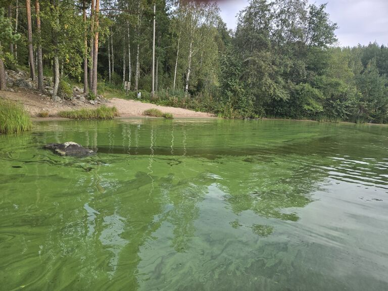 Kranstolppa 8.9.2025.jpg