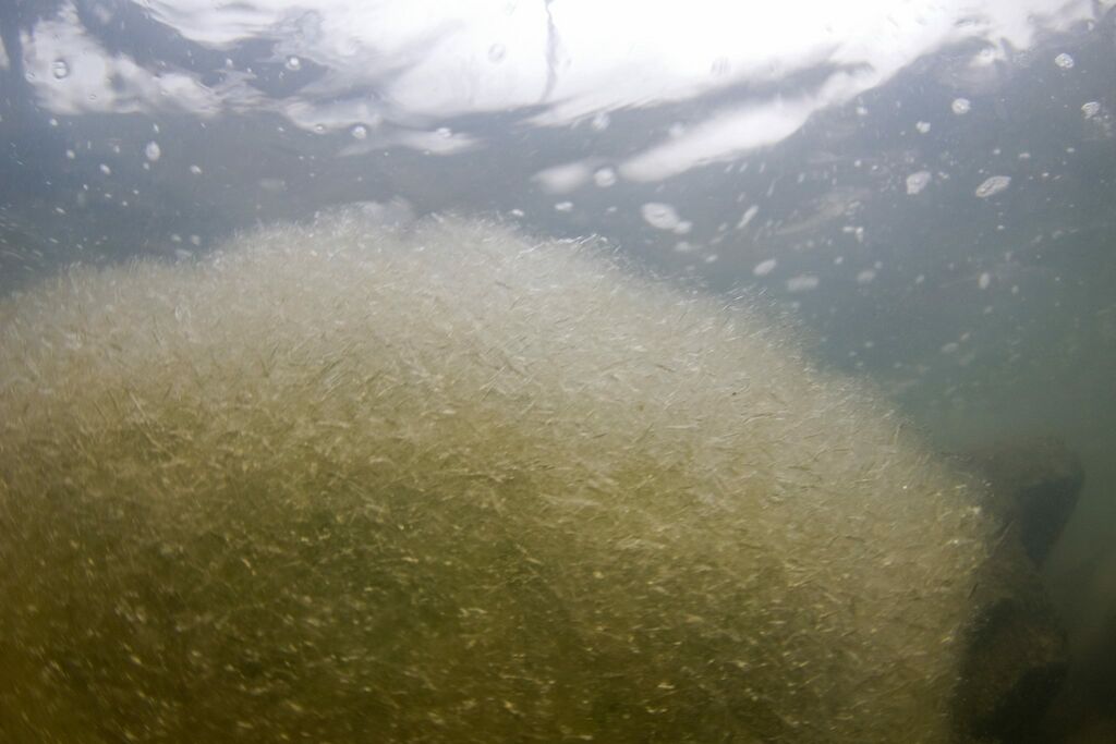 Vesijärvi (14.241.1.001)-Vääksy, vanha keskusta-ObsICE-201812020131-98.jpg