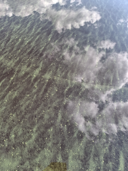 Tiedosto:Ätäskö (04.392.1.001)-Lietsonlahti-ObsIMG-202409041446-66d849a302ab4.png