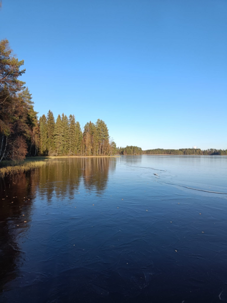 Tiedosto:Iso-Uurainen (14.655.1.002)-Täkylahti-ObsIMG-202310301400-6558b56a10a85.png