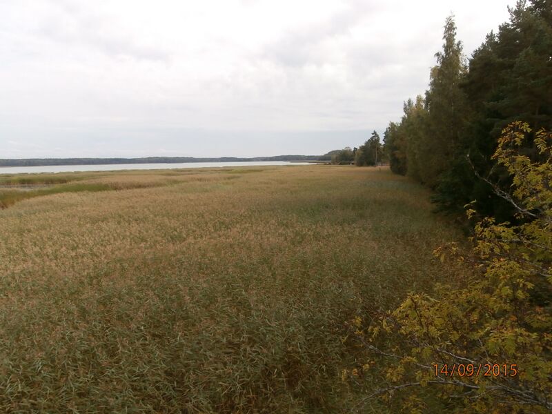 Tiedosto:Killingön lintutornista oikealle.JPG