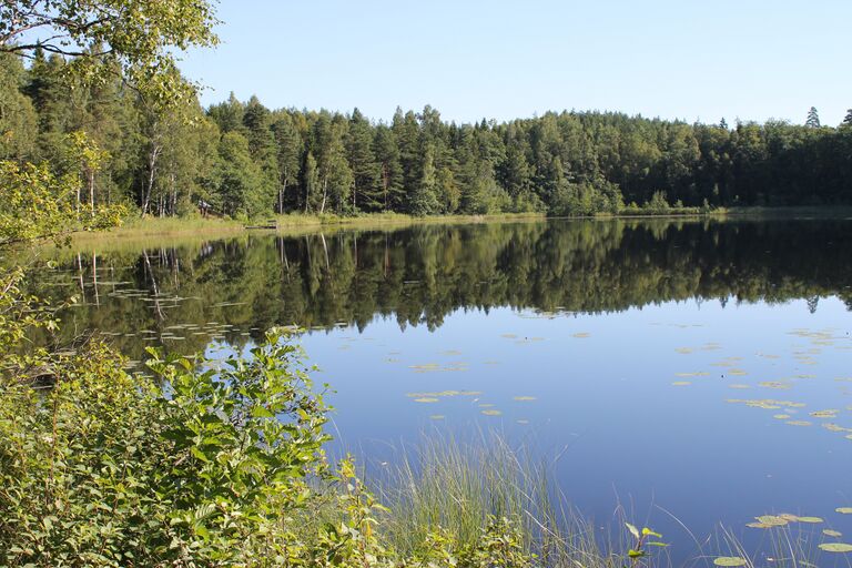 Lillträsk Pedersinpolku.JPG