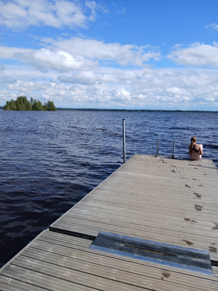 Tiedosto:Alajärvi (47.043.1.001)-Valtakunnallinen sinileväseuranta (Pynttärinniemi, Hauta-ahon uimapaikka)-ObsALG-202508051238-1754386796810.png
