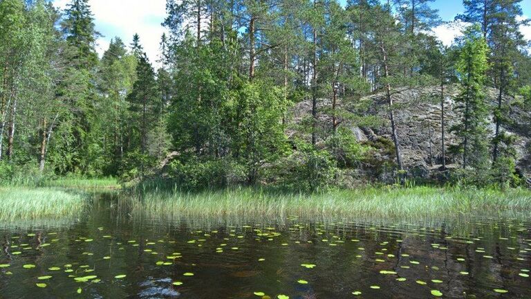 Välijoki laskee Myllyjärveen.jpg