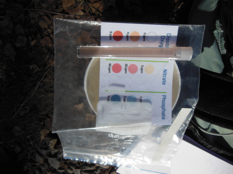 DSCN5827 Happi 7.png