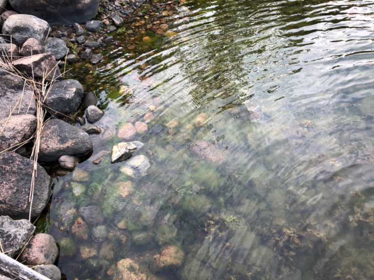 Iso- ja Pikku-Nauvon vesialue-Rotarien sinileväseuranta (Käldinge strand)-ObsALG-202107071954-60e5dc9f411fa.png