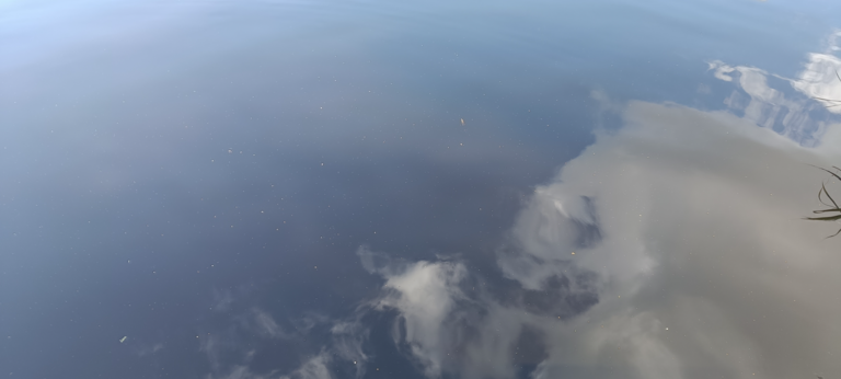 Kikurinjärvi (35.289.1.008)-Rotarien sinileväseuranta-ObsIMG-202508111542-1754916237400.png