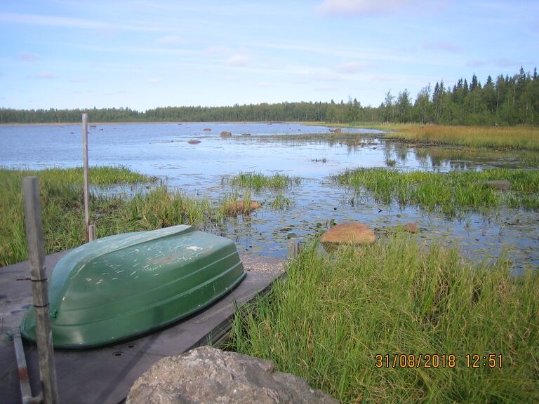 Heinikarinlampi 1.JPG