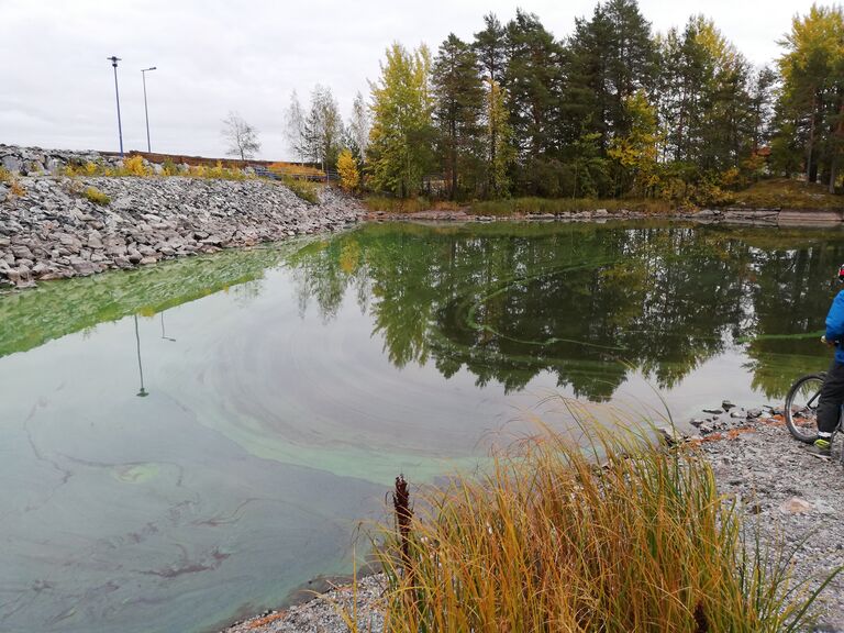 Kallavesi (yhd.)-Pölhö-ObsIMG-201909281803-27.jpg