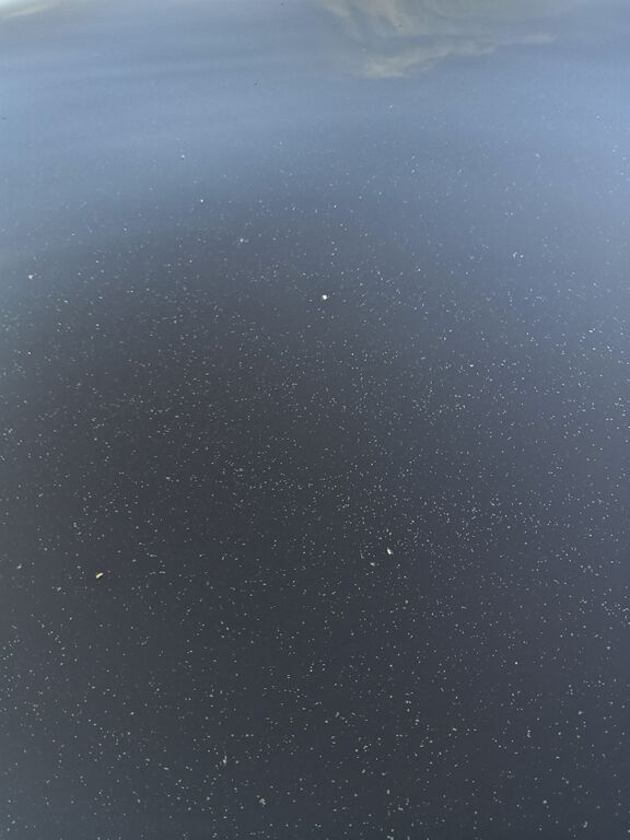 Kallavesi (yhd.)-Parviaisniemi-ObsIMG-202006232028-68.jpg