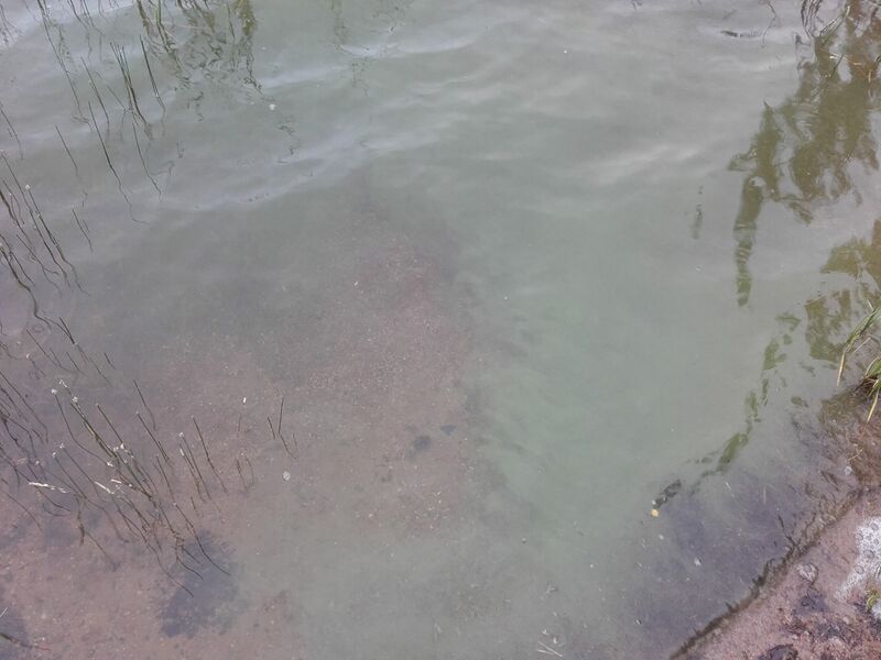 Tiedosto:Kitka, heinäkuu.jpg