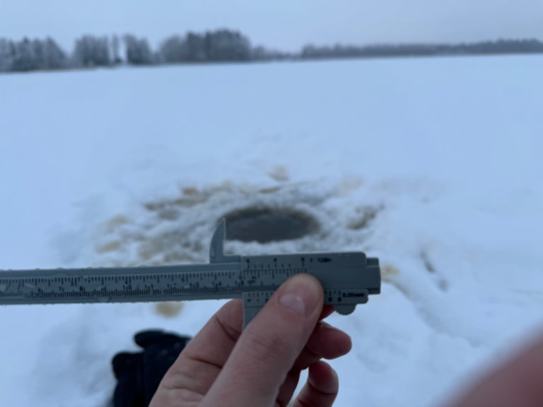 Pyhäjärvi (35.211.1.001)-Lepokallio-ObsIMG-202312061300-6575755d32f16.png