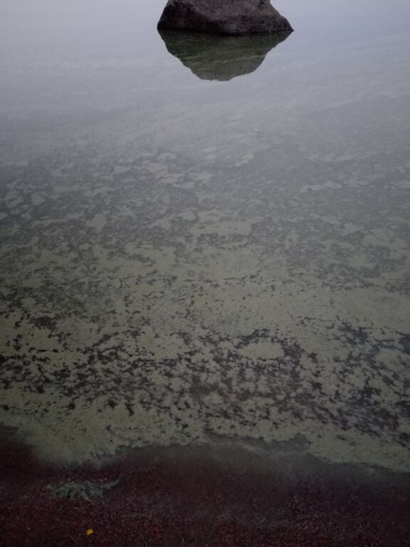 Villinki-Laajasalon uimaranta-ObsIMG-201807152250-44.jpg