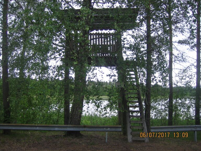 Alasen lintutorni.JPG