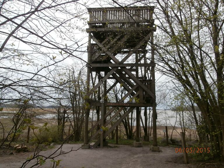 Hakalan lintutorni.JPG