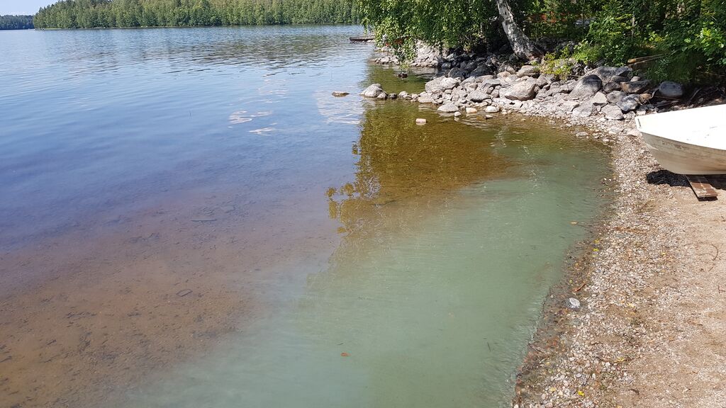 Muuratjärvi (14.281.1.001)-Verkkoniemi-ObsALG-201907211300-96.jpg