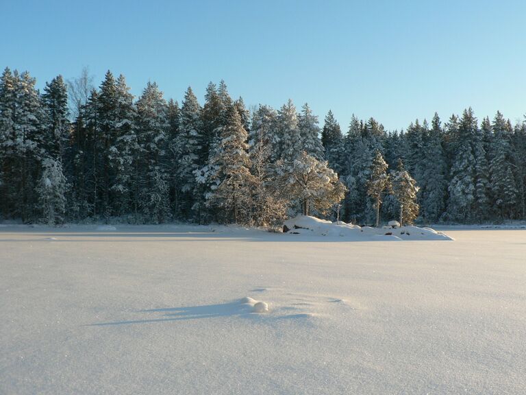 Otraluoto joulukuussa.JPG