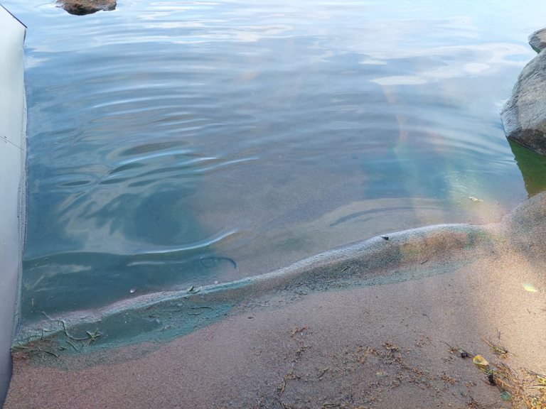 Pihlajavesi (Saimaa) (04.121.1.001)-Havaintopaikka 2-ObsALG-202507022116-686577e1363c7.png