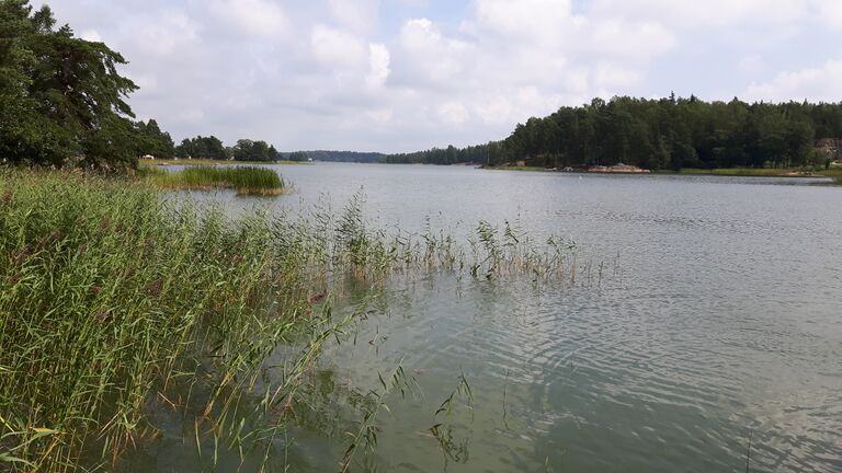 Sipoon saaristo-Söderkullalandet, mökkiranta-ObsIMG-201607311224-4.jpg