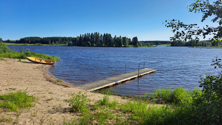 Kiuruvesi (04.523.1.001)-Valtakunnallinen sinileväseuranta-ObsIMG-202507010815-1751347326391.png