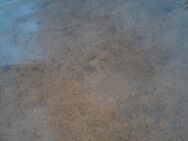 Pyhäselkä (Saimaa) (04.321.1.001)/Valtakunnallinen sinileväseuranta (Rääkkylän Paksuniemen uimaranta)