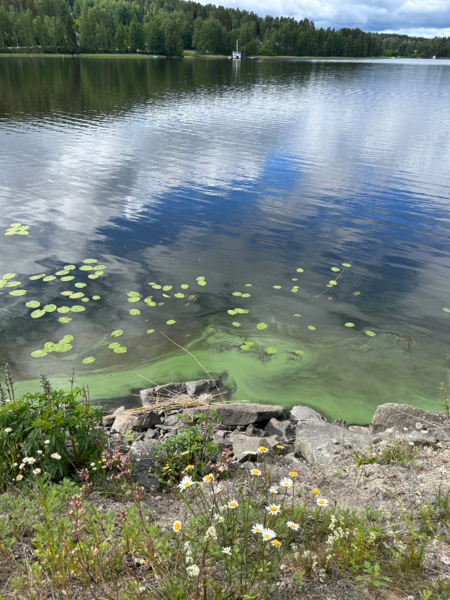 Tiedosto:Päijänne (yhd.)-Muuratsalo-ObsIMG-202606271302-6a3f9feb4b57e.png