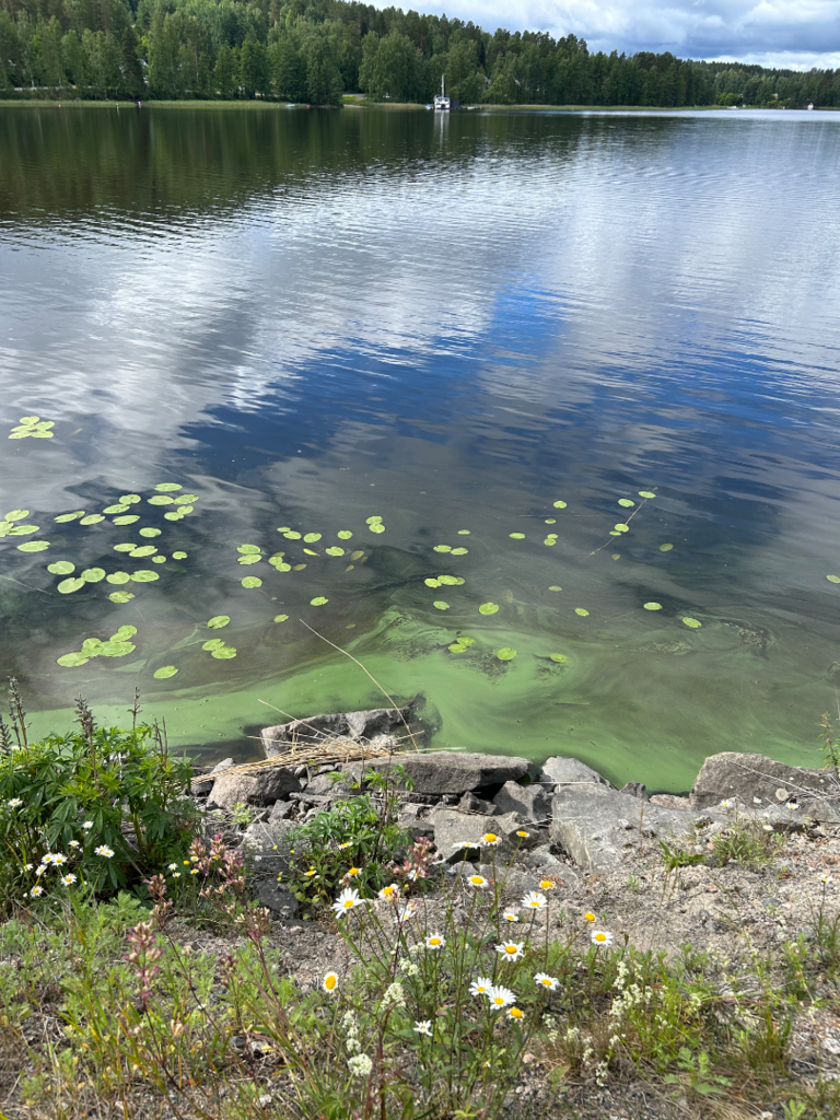 Päijänne (yhd.)-Muuratsalo-ObsIMG-202606271302-6a3f9feb4b57e.png