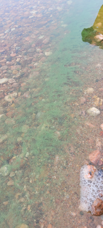 Saimaa (04.112.1.001)-Hiidenhiekka-ObsIMG-202207121200-62cfc356da77e.png