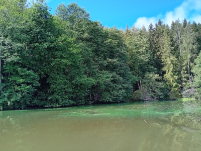 Hiidenvesi (23.031.1.001)-Rysätarha-ObsALG-202508141031-1755162037818.png