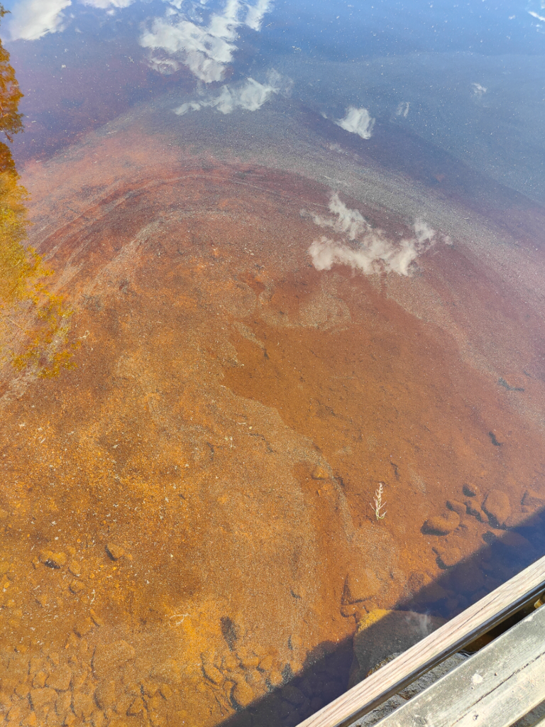 Kiantajärvi (yhd.)-Havaintopaikka 2-ObsALG-202507151811-68766ff4ddaf4.png