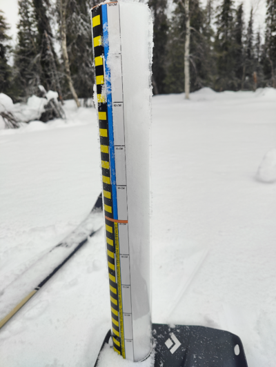 Pallasjärven valuma-alue (65.652)-Pallas-ObsSNOW-202603251014-69c399e8e0f90.png