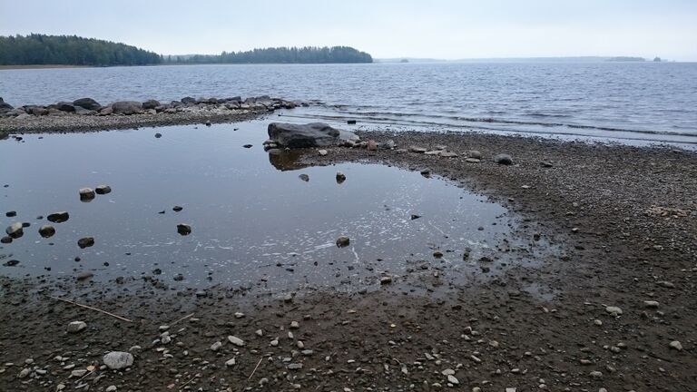 Sinilevän havaintopaikka Koivuniemen uimaranta 10.9.2019.JPG