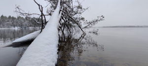 Välijärvi (74.021.1.051)-Luikonsaari-ObsTEMP-202110211442-6171528a91694.png