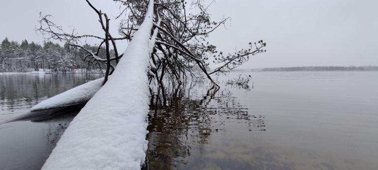 Välijärvi (74.021.1.051)-Luikonsaari-ObsTEMP-202110211442-6171528a91694.png