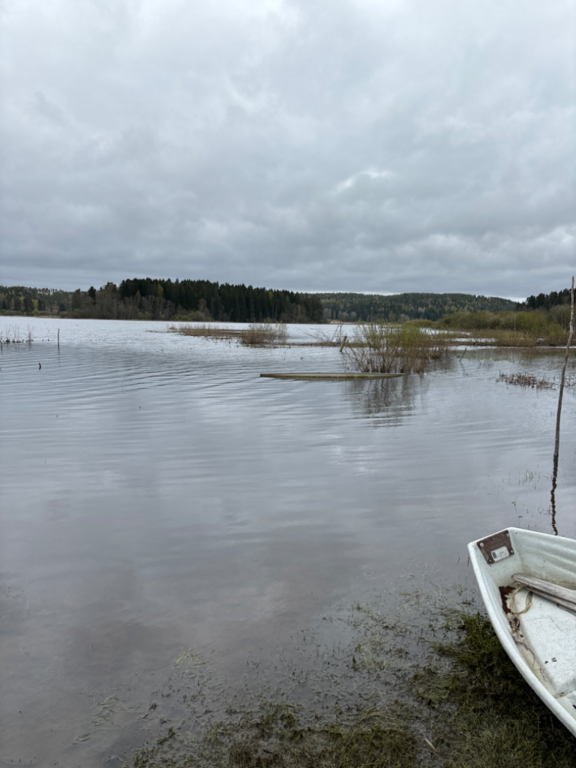 Vanjärvi (23.042.1.001)-Lintutorni-ObspH-202405101015-663dca723f9e5.png