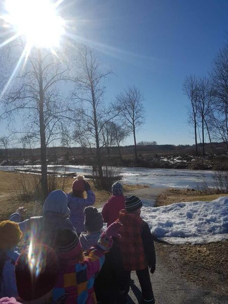 Tiedosto:Yläneenjoen alaosan alue (34.041)-Yläneenjoki, Laituritie-ObsIMG-201903262032-35.jpg