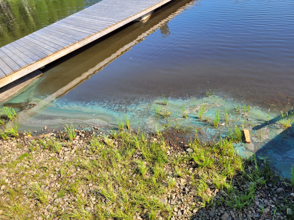 Jääskänjärvi (44.098.1.001)-Jääskänjärvi Haavistonlahti-ObsIMG-202507141145-6874c61a96be5.png