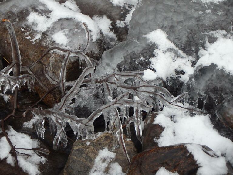 Jaista-rantakivikkoa-sysmassa 31122014 jussi.jpg