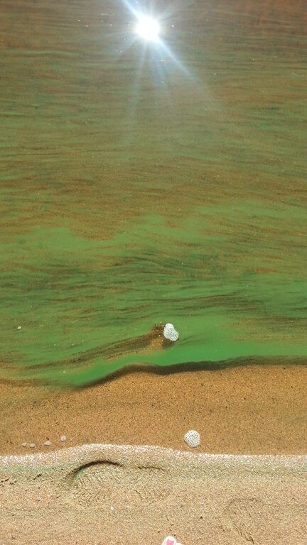 Kemijärvi (yhd.)-Räisälä hiekkaranta-ObsIMG-201807011917-11.jpeg