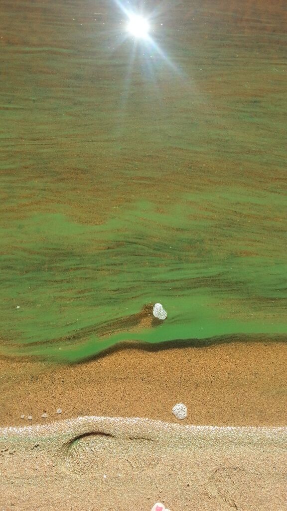 Kemijärvi (yhd.)-Räisälä hiekkaranta-ObsIMG-201807011917-11.jpeg