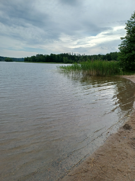 Kymijärvi (14.164.1.001)-Valtakunnallinen sinileväseuranta (Kariston uimaranta)-ObsALG-202407171030-66977345ef8f0.png