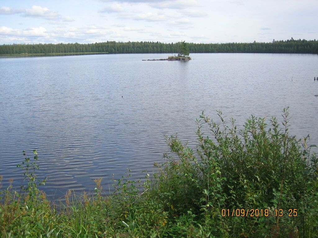 Oravisjarven etelaranta.JPG