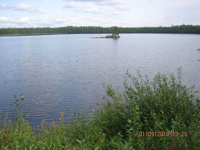 Oravisjarven etelaranta.JPG