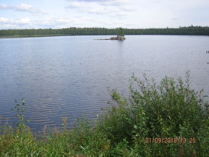 Tiedosto:Oravisjarven etelaranta.JPG