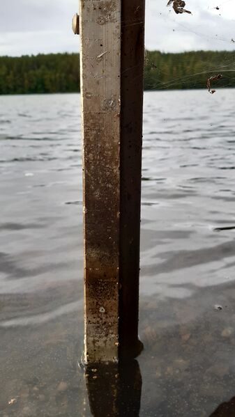 Tiedosto:20200831 065117.jpg